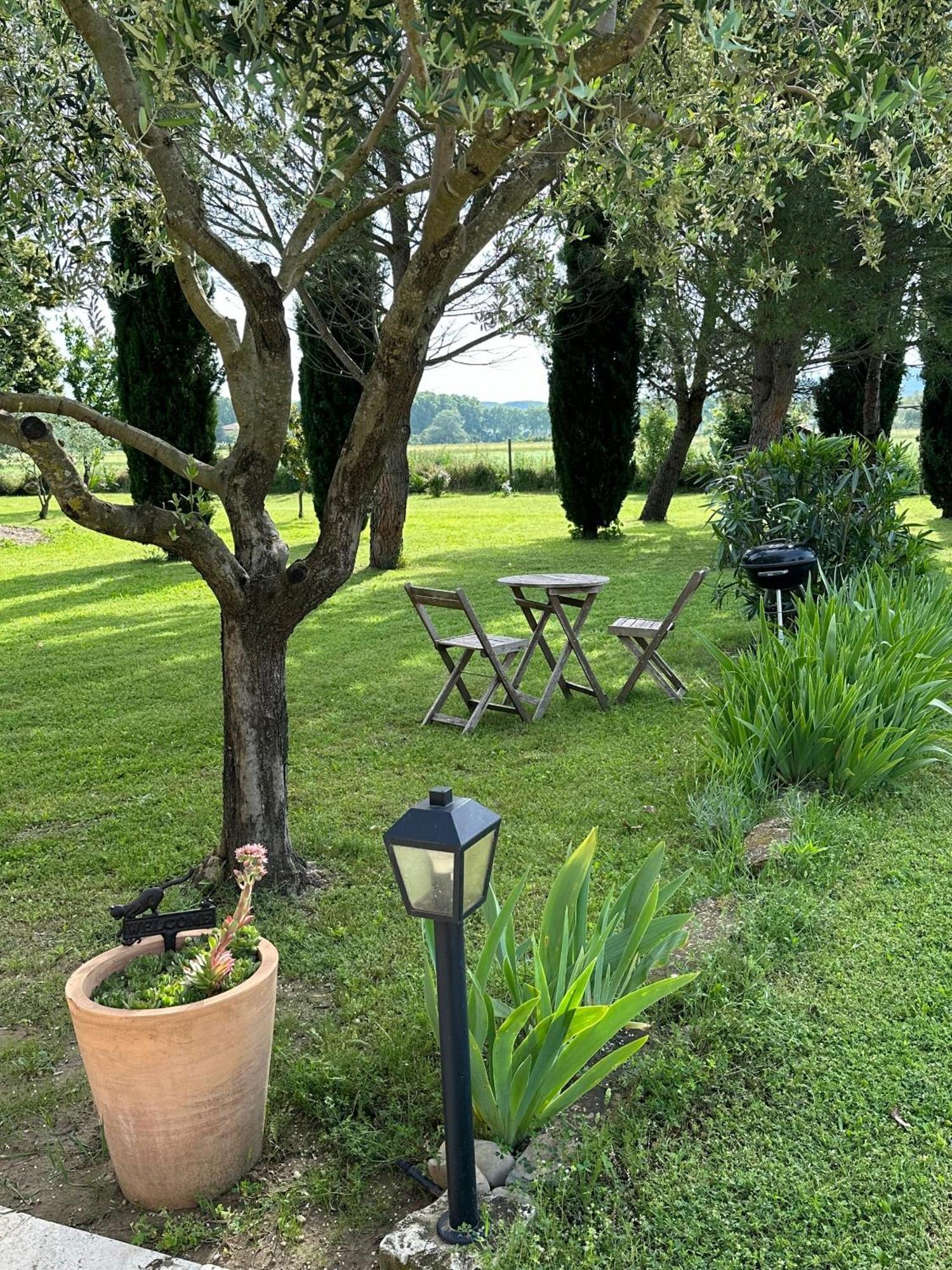 Maisonnette Independante Au Calme Dans Un Grand Jardin Chateauneuf-du-Rhone Екстер'єр фото