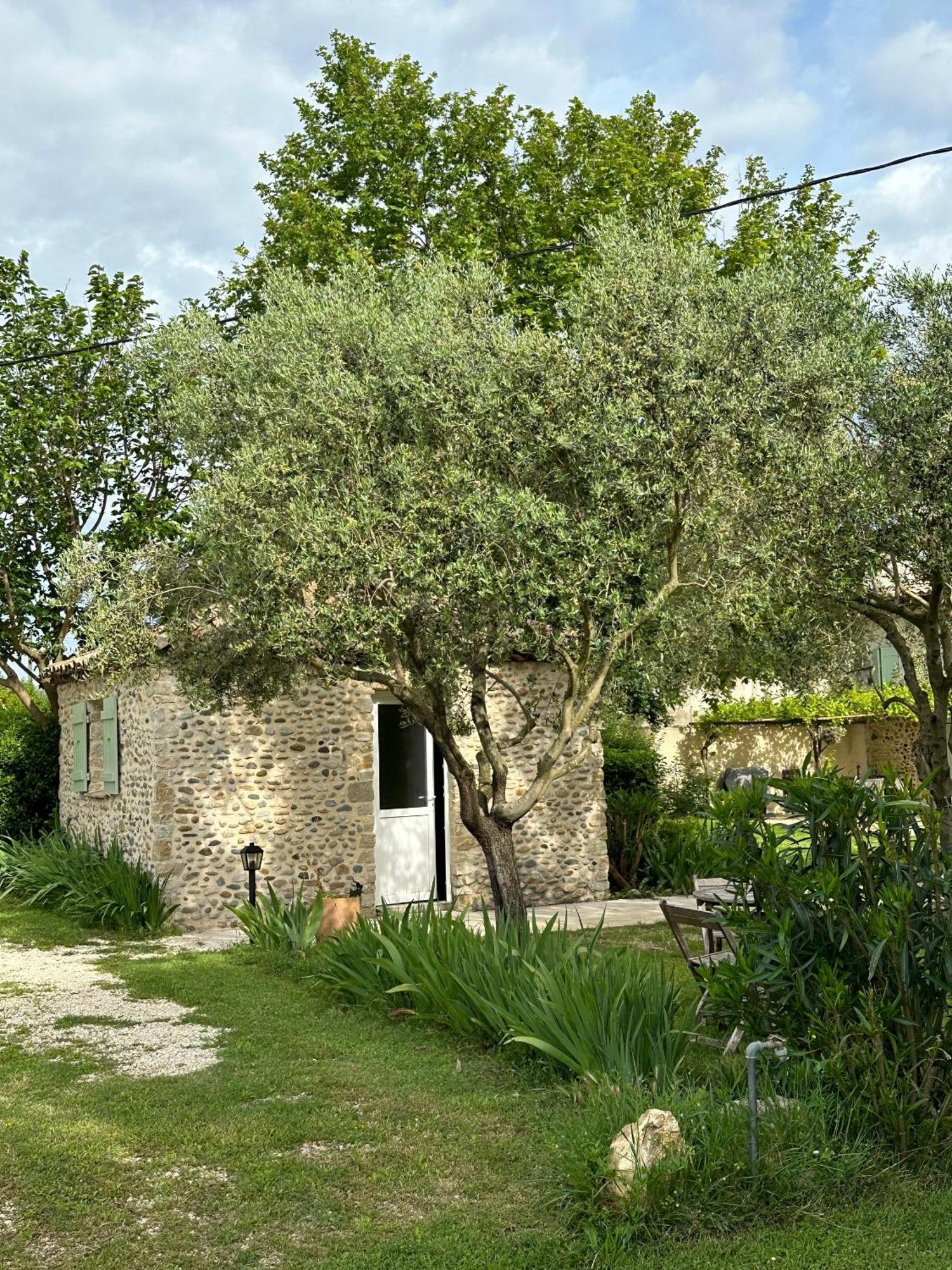 Maisonnette Independante Au Calme Dans Un Grand Jardin Chateauneuf-du-Rhone Екстер'єр фото