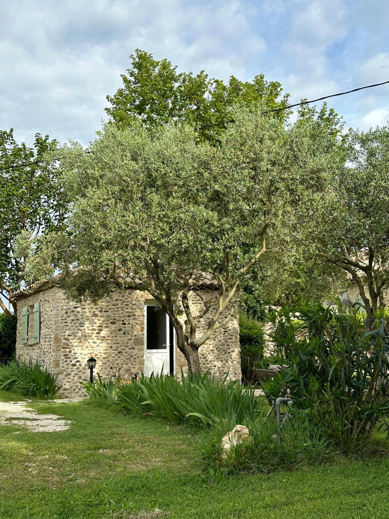 Maisonnette Independante Au Calme Dans Un Grand Jardin Chateauneuf-du-Rhone Екстер'єр фото